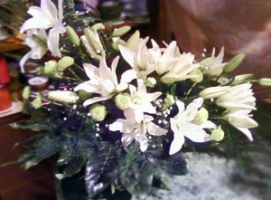 Kompozycja z białych lilii