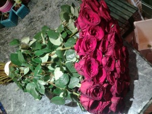 Bukiet z 50 czerwonych długich róż (1)