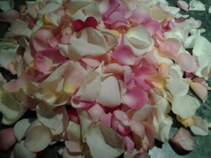 Płatki róż w kolorze białym I różowym 